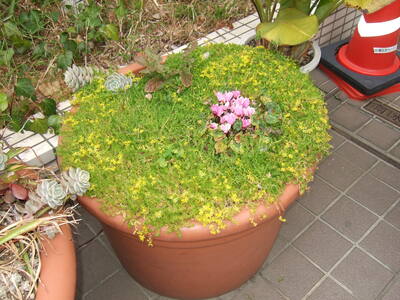 DSCF6412.JPG
