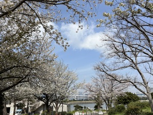 ✿◎IMG_2328.JPG