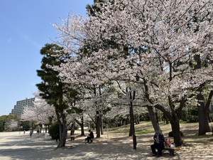 ✿◎IMG_2417.JPG