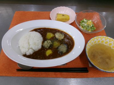 なすとパプリカのボロネーゼハヤシライス１.JPG