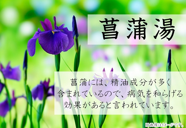 （入浴）菖蒲湯.jpg