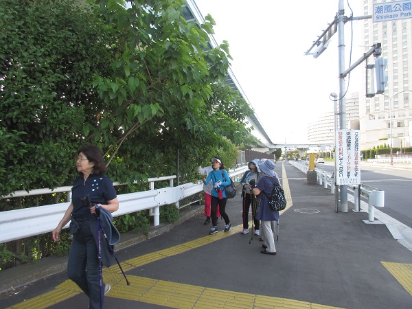 植物観察.jpg