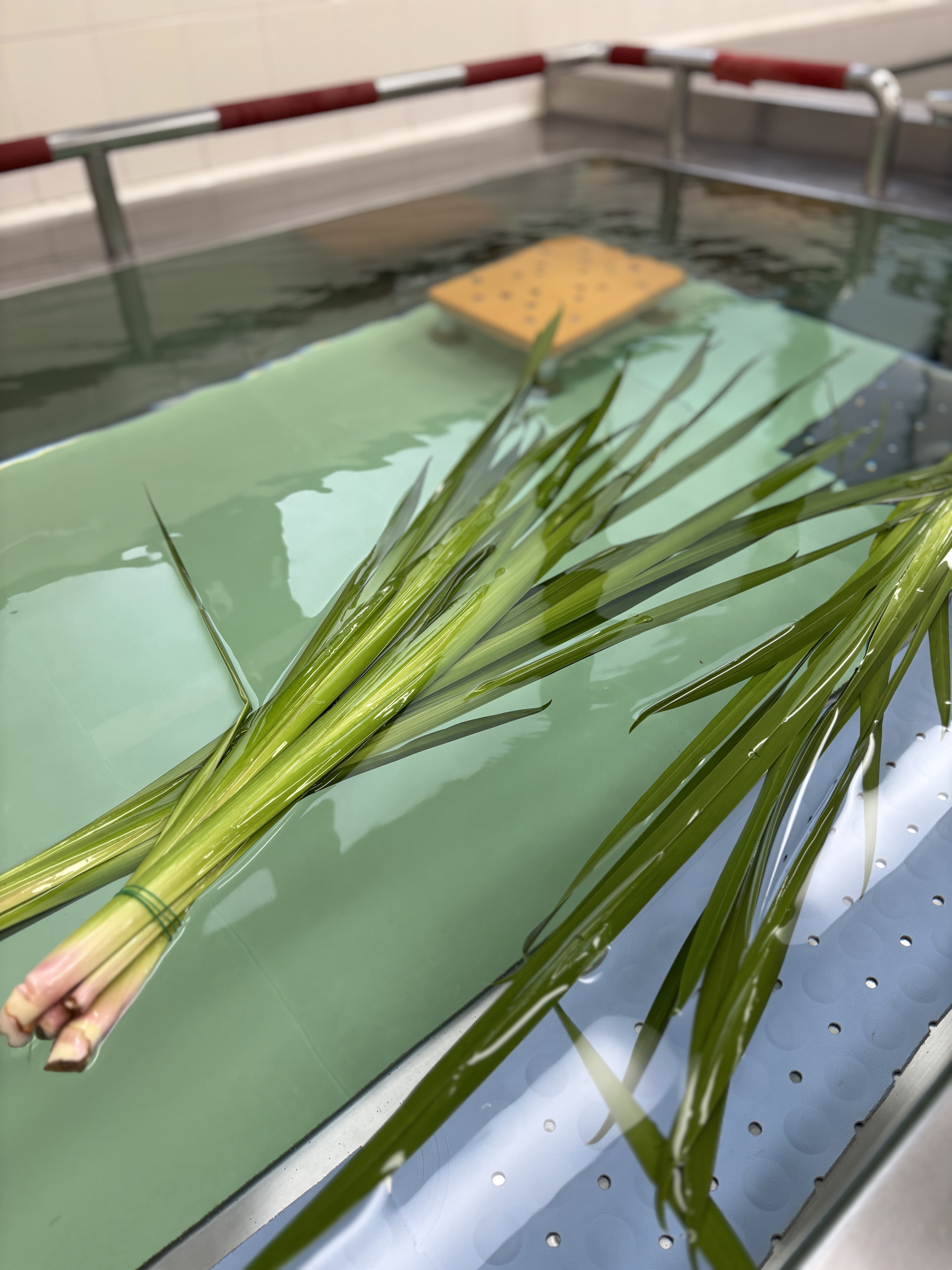 菖蒲の湯.JPG