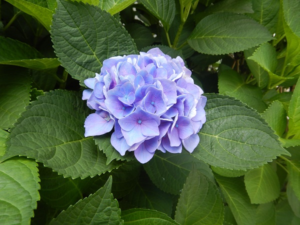 DSCN1325.JPG