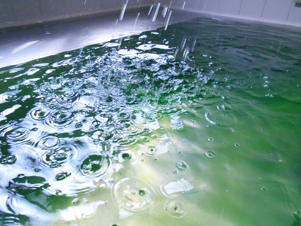 DSCN4522.JPG