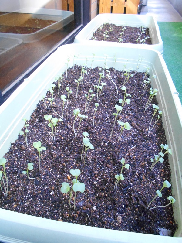 DSCN4907.JPG