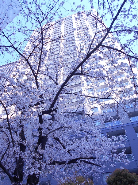 DSCN5592.JPG