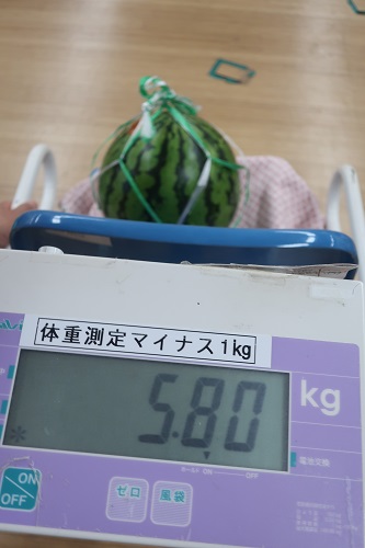 スイカ割⑧.jpg