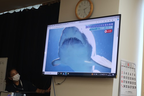 大洗水族館④.jpg