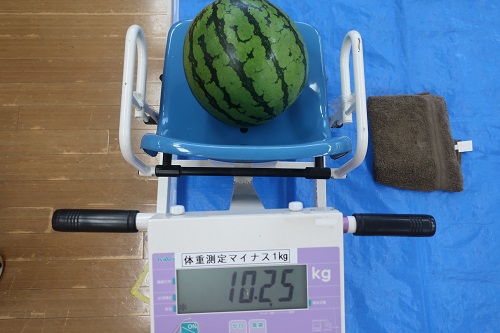 スイカ割り２➅.jpg